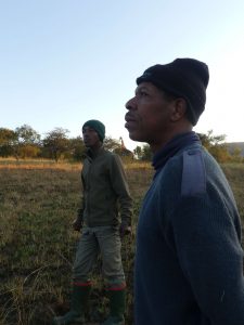 conservation guardians working with local communities